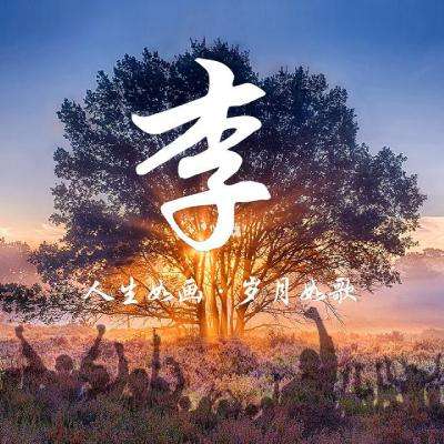 一念飞天手机版下载