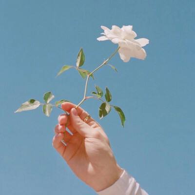 赤龙之吼手游破解版下载