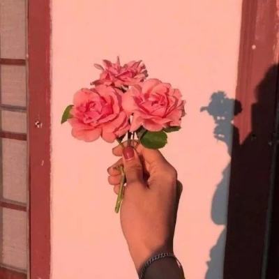 龙心战纪bt版下载